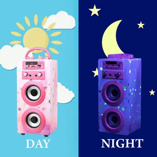 dynasonic-karaoke-z-2-mikrofonami-marka-dynasonic