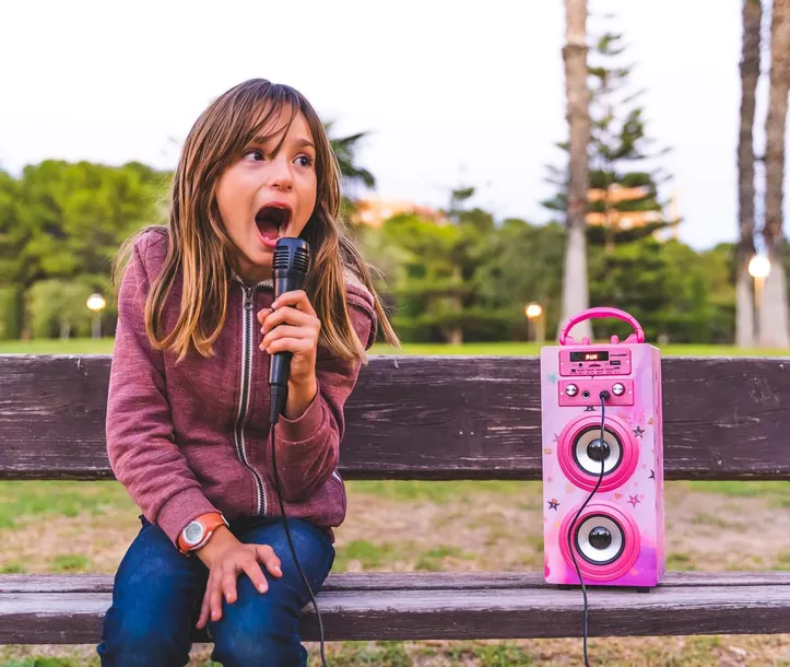 dynasonic-karaoke-z-2-mikrofonami-produkt-wprowadzony-do-obrotu-na-terenie-ue-przed-13-12-2024-nie