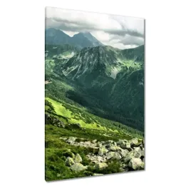 obrazy-80x120-tatry-polskie-gory-widok