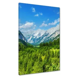 obrazy-80x120-gorski-pejzaz-z-pieknymi-chmurkami-drzewa-w-gorach