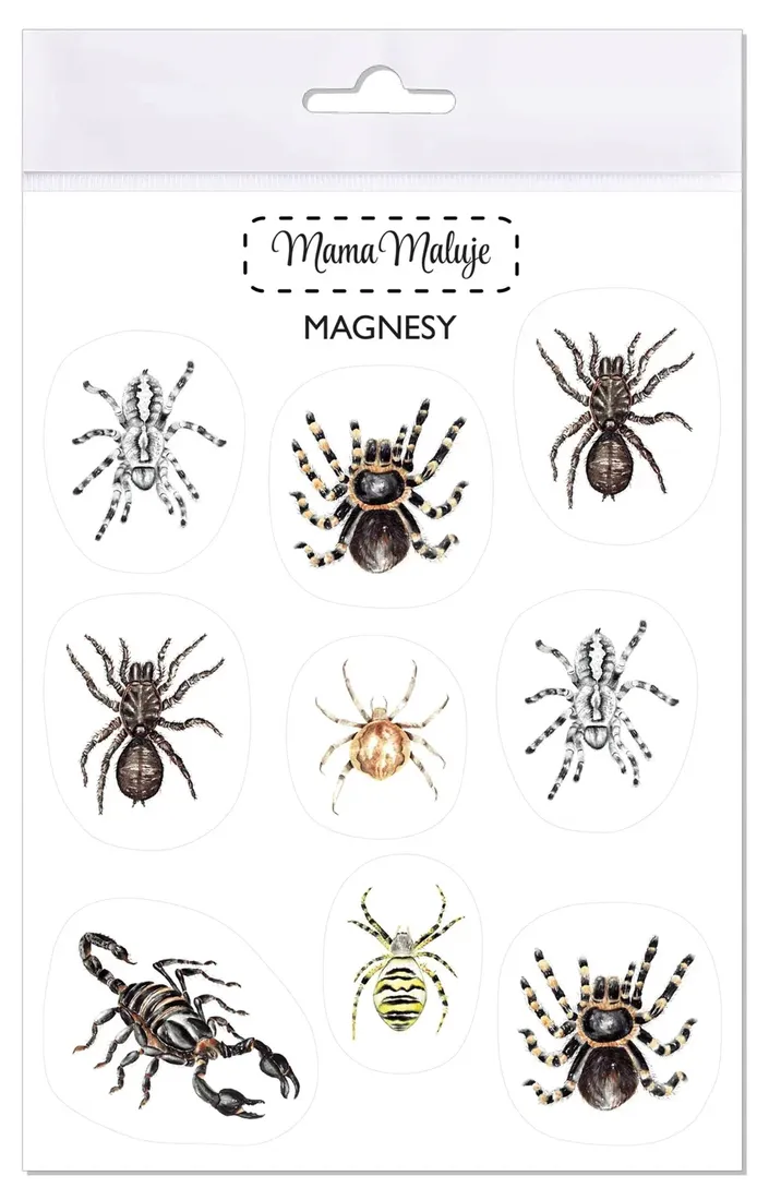 magnesy-pajeczaki