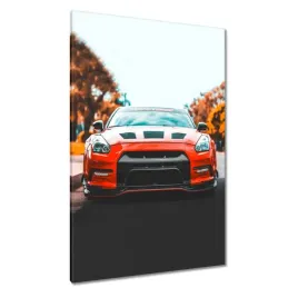 obrazy-80x120-sportowe-auto