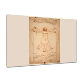 obrazy-90x60-czlowiek-witruwianski-da-vinci