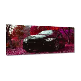 obrazy-100x40-czarne-bmw-jesien