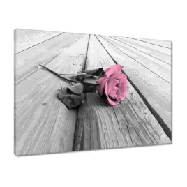 obrazy-70x50-pudrowa-roza-na-deskach