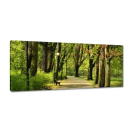 obrazy-100x40-park-cytadela