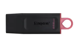 kingston-256gb-usb-3-2-gen1-datatraveler-exodia-black-pink