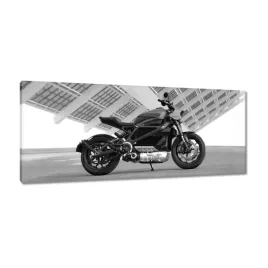 obrazy-100x40-harley-davidson-motocykl