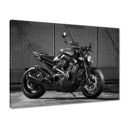 obrazy-70x50-harley-davidson-motocykl