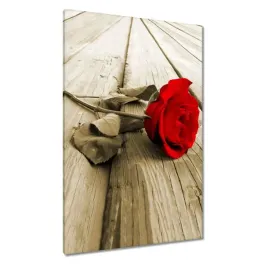 obrazy-80x120-czerwona-roza-na-deskach