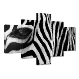 obrazy-100x70-czarno-biale-pasy-zebra