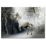 obrazy-70x50-bialy-rumak-stan-nowy