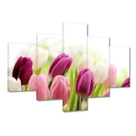 obrazy-100x70-piekne-tulipany