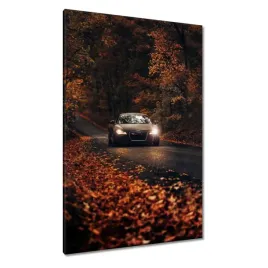 obrazy-80x120-audi-jesienny-pejzaz
