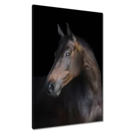 obrazy-80x120-kon-konski-leb-glowa