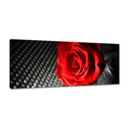 obrazy-100x40-czerwien-wsrod-szarosci