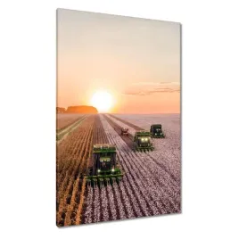 obrazy-80x120-zniwa-rolnictwo-kombajny