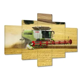 obrazy-100x70-kombajn-claas-kosi-zniwa