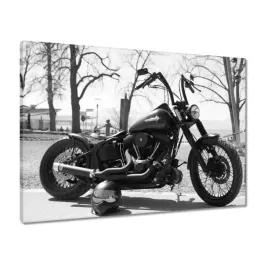 obrazy-70x50-harley-davidson-motocykl