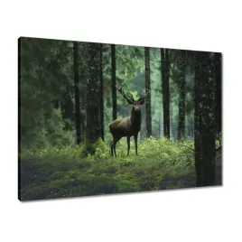 obrazy-70x50-piekny-jelen-wsrod-drzew