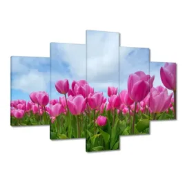 obrazy-150x105-tulipany-kwiaty-kwiatki