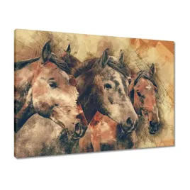 obrazy-70x50-glowy-konskie-lby-koni