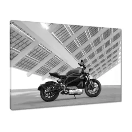 obrazy-70x50-harley-davidson-motocykl