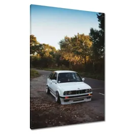 obrazy-70x100-bmw-3