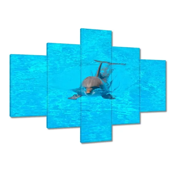 obrazy-100x70-delfin