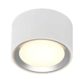 sufitowa-lampa-tuba-fallon-47540132-led-55w-2700k-sciemnialna-bialy