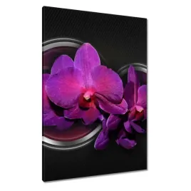 obrazy-70x100-fioletowy-oleander