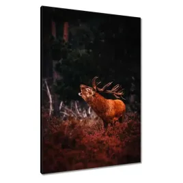 obrazy-70x100-jelen-na-rykowisku-las