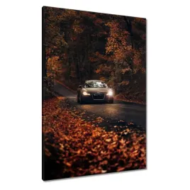 obrazy-70x100-audi-jesienny-pejzaz