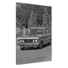 obrazy-80x120-duzy-fiacik-125p