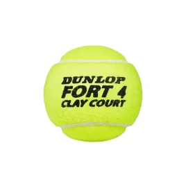 fort-clay-court