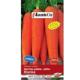 marchew-jadalna-blanka-plantico