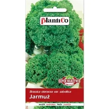 jarmuz