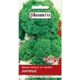 jarmuz