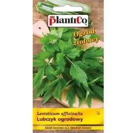 lubczyk-ogrodowy
