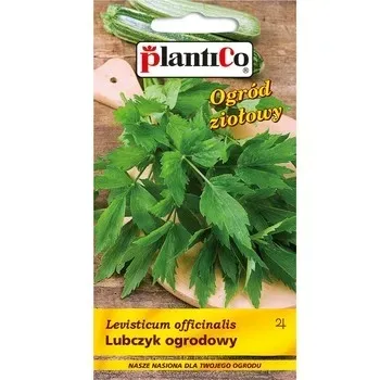 lubczyk-ogrodowy