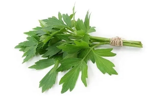 lubczyk-ogrodowy-waga-z-opakowaniem-0-001-kg