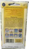 bazylia-wlasciwa-rodzaj-rosliny-szalwie