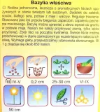 bazylia-wlasciwa-styl-ogrod-wiejski-waga-z-opakowaniem-0-01-kg