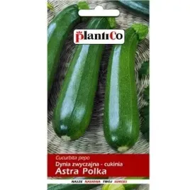 dynia-zwyczajna-cukinia-astra-polka-plantico