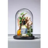 bullfrog-eau-de-toilette-elements-water-100ml-marka-bullfrog