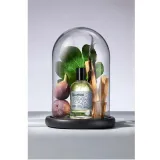 bullfrog-eau-de-toilette-elements-air-100ml-stan-nowy