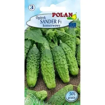 ogorek-sander-polan