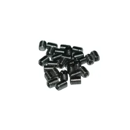 wkret-dociskowy-m25x3-z-koncem-plaskim-a2-robaczek-sruba-dociskowa-10-szt