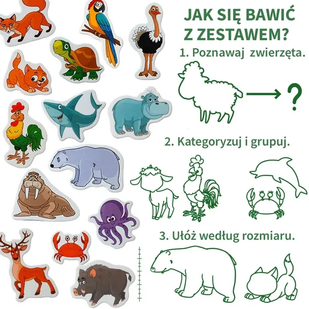 magnesy-zwierzeta-kolor-dominujacy-wielokolorowy