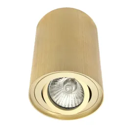 oprawka-natynkowa-led-ruchoma-zlota-lampa-do-kuchni-jadalni-salonu-gabinetu